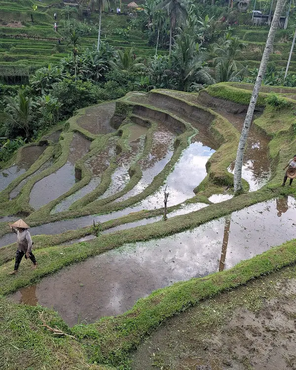 Bali, wedding and event destination